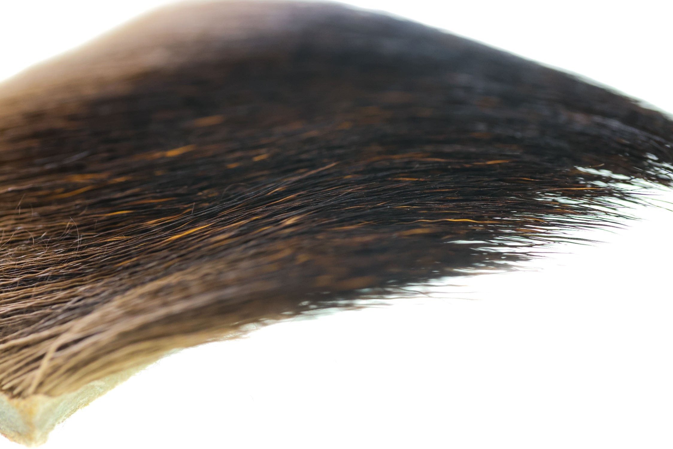 Wapsi Moose Body Hair