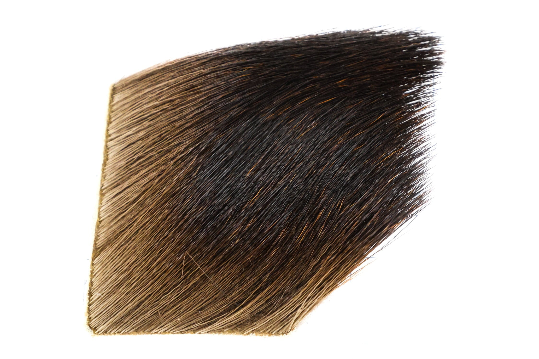 Wapsi Moose Body Hair
