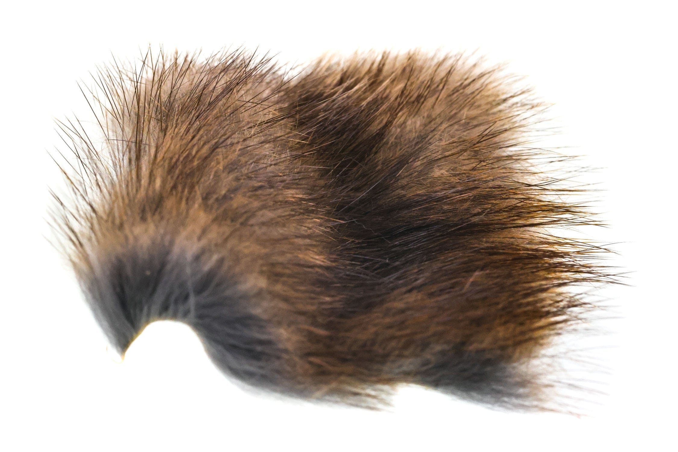 Wapsi Muskrat Fur