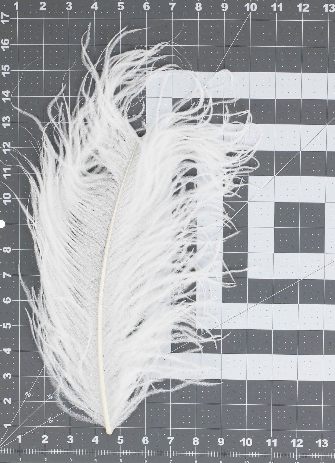 Wapsi Ostrich Marabou