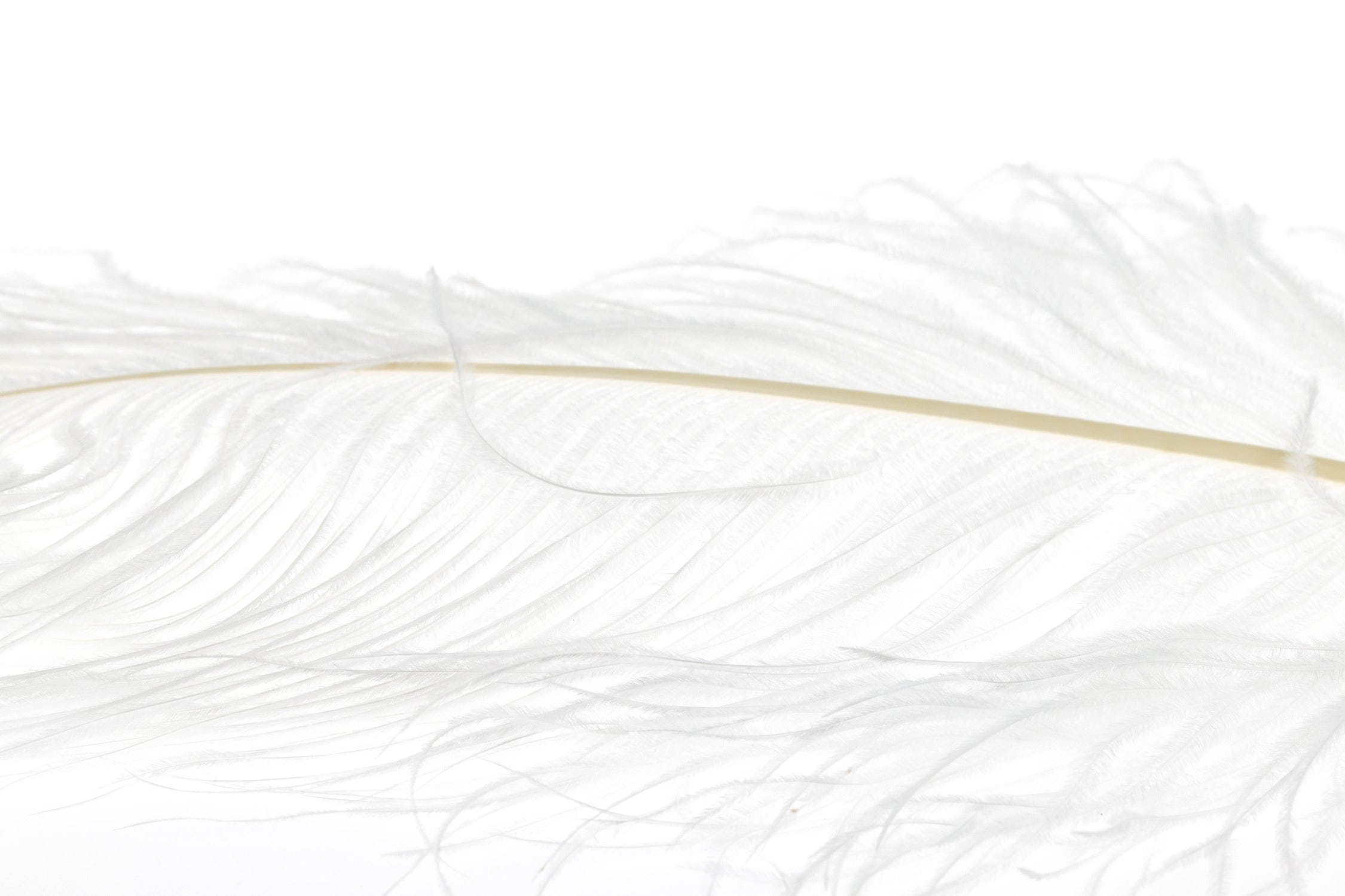 Wapsi Ostrich Marabou