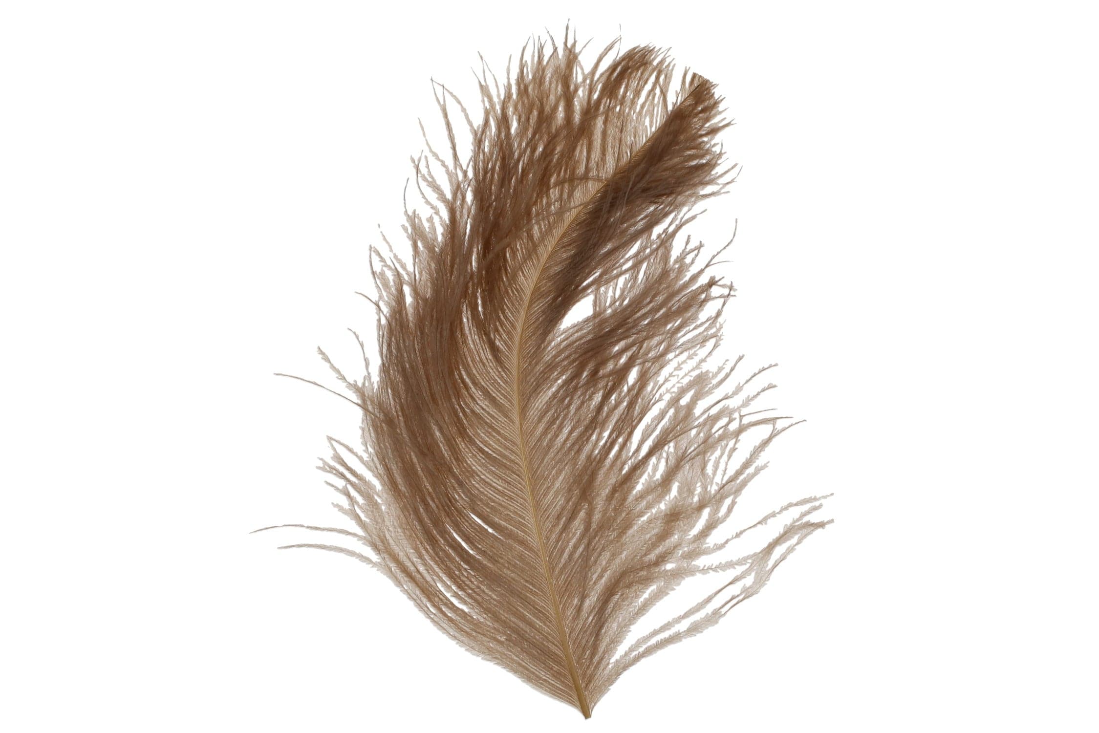 Wapsi Ostrich Plumes