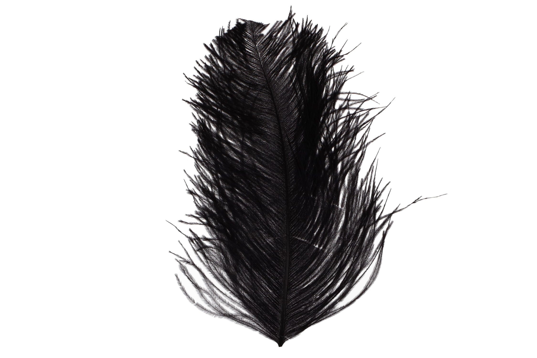 Wapsi Ostrich Plumes