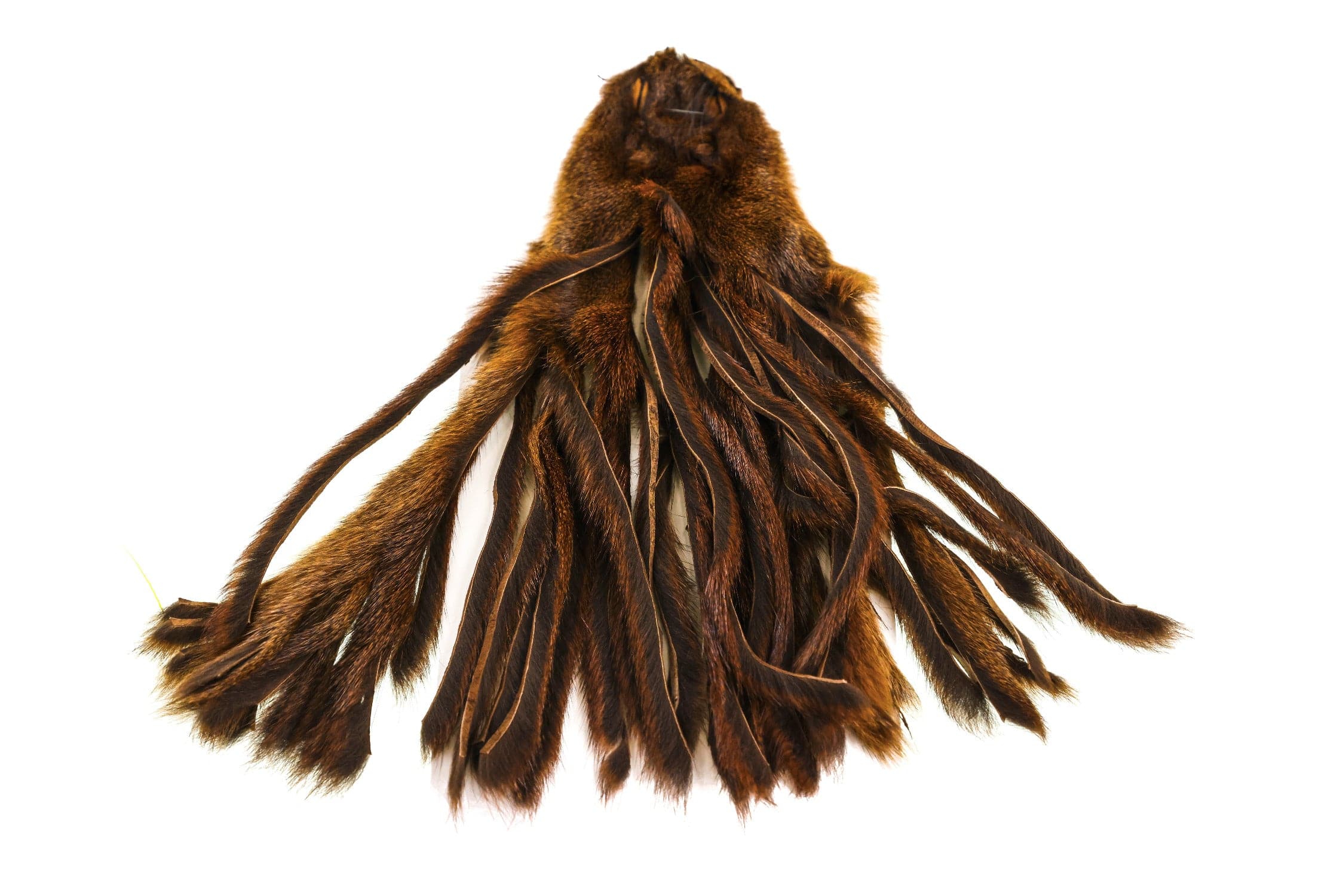 Wapsi Pine Squirrel Skins