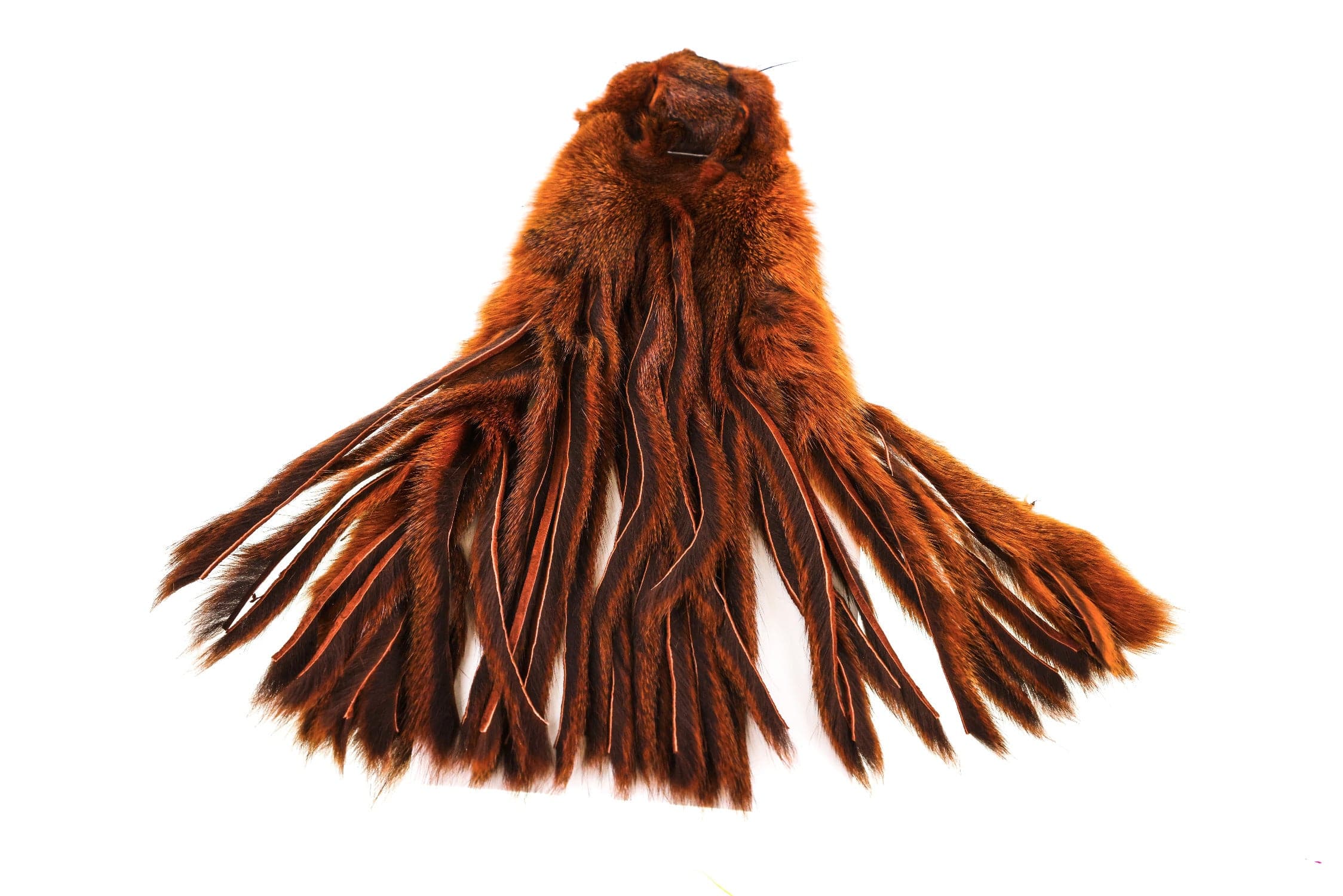 Wapsi Pine Squirrel Skins