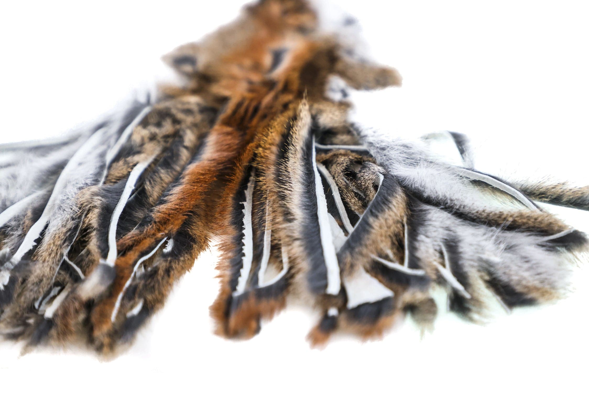 Wapsi Pine Squirrel Skins