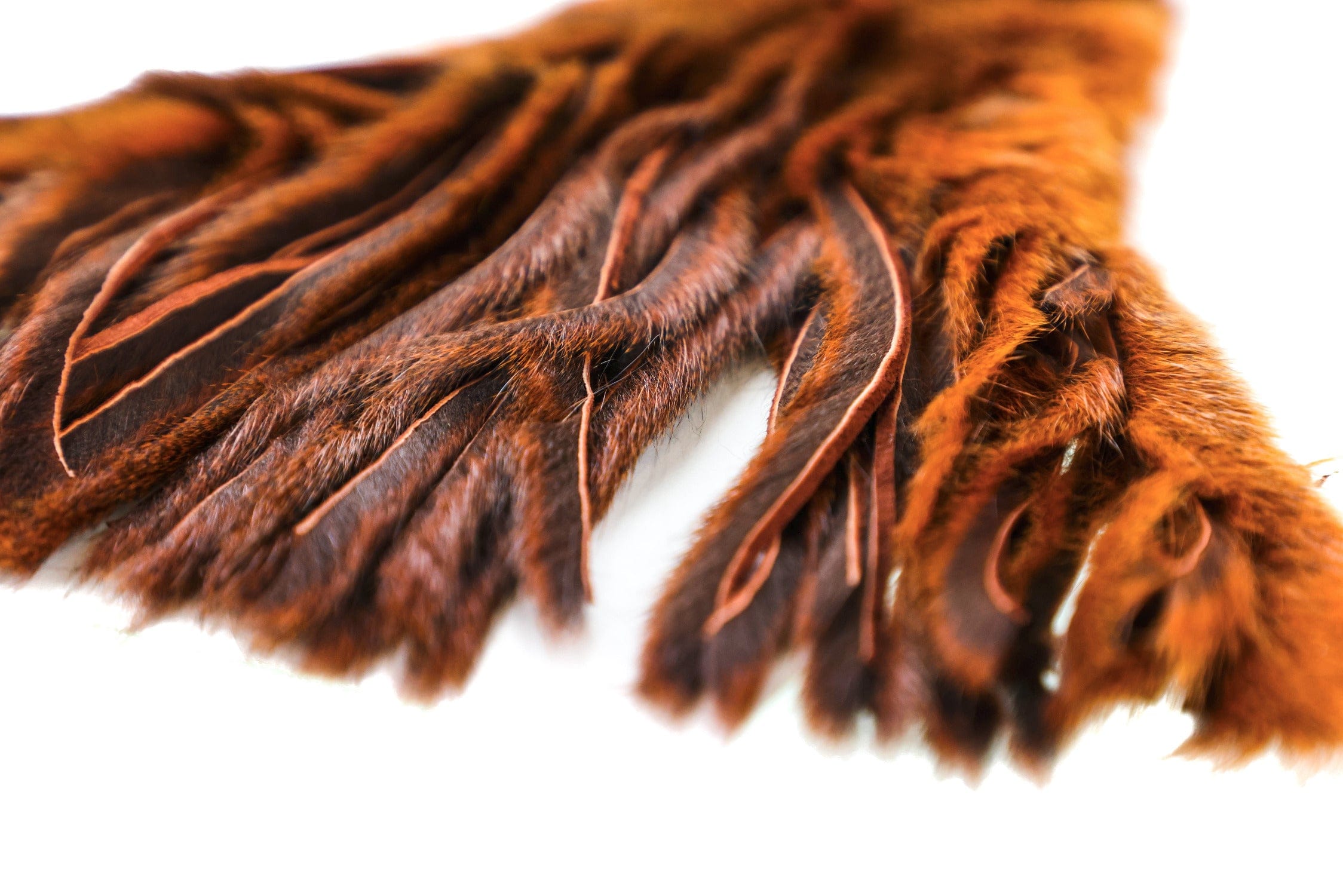 Wapsi Pine Squirrel Skins
