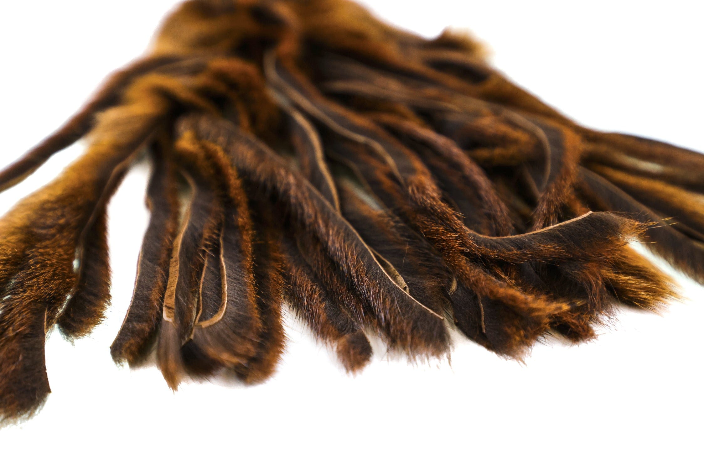 Wapsi Pine Squirrel Skins