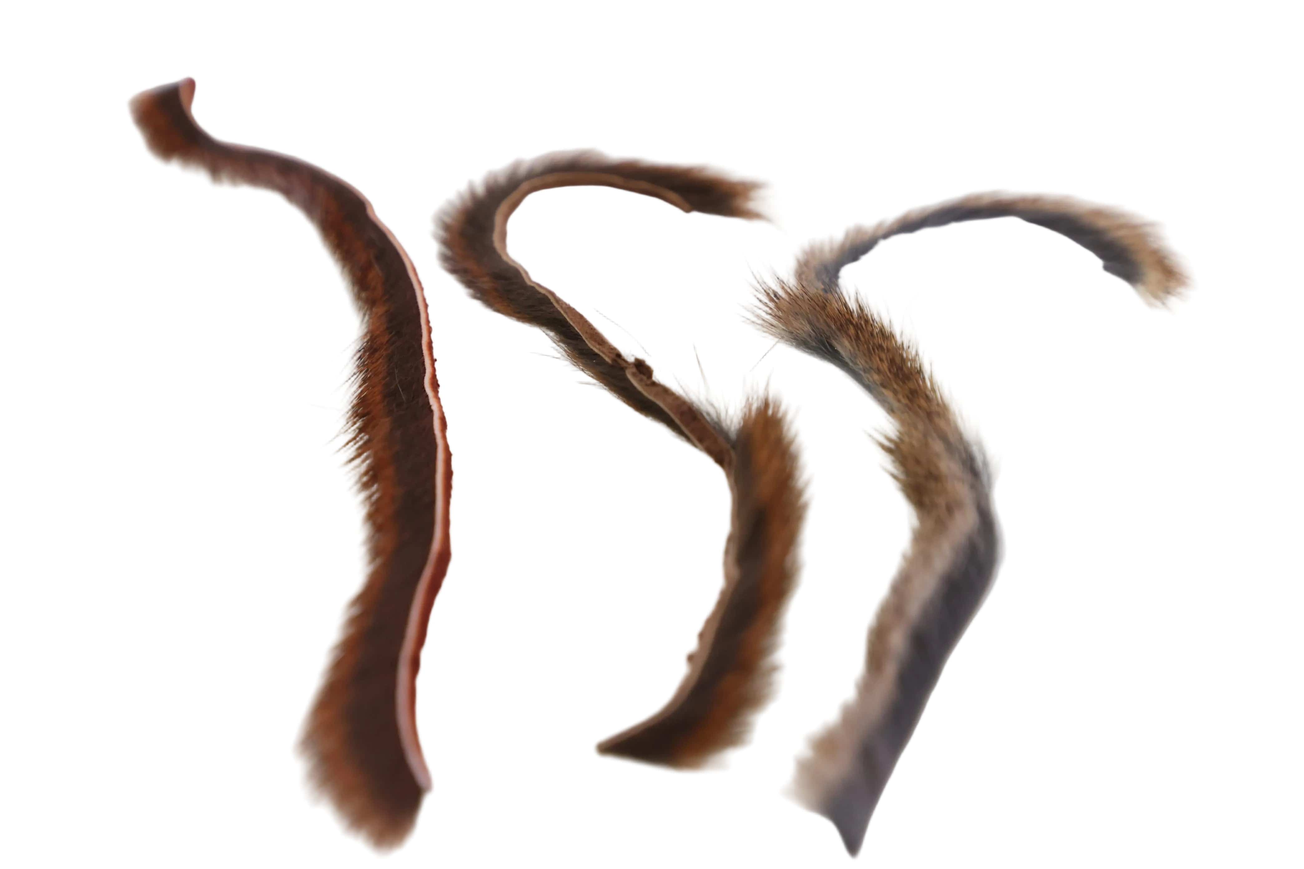 Wapsi Pine Squirrel Zonker Strips