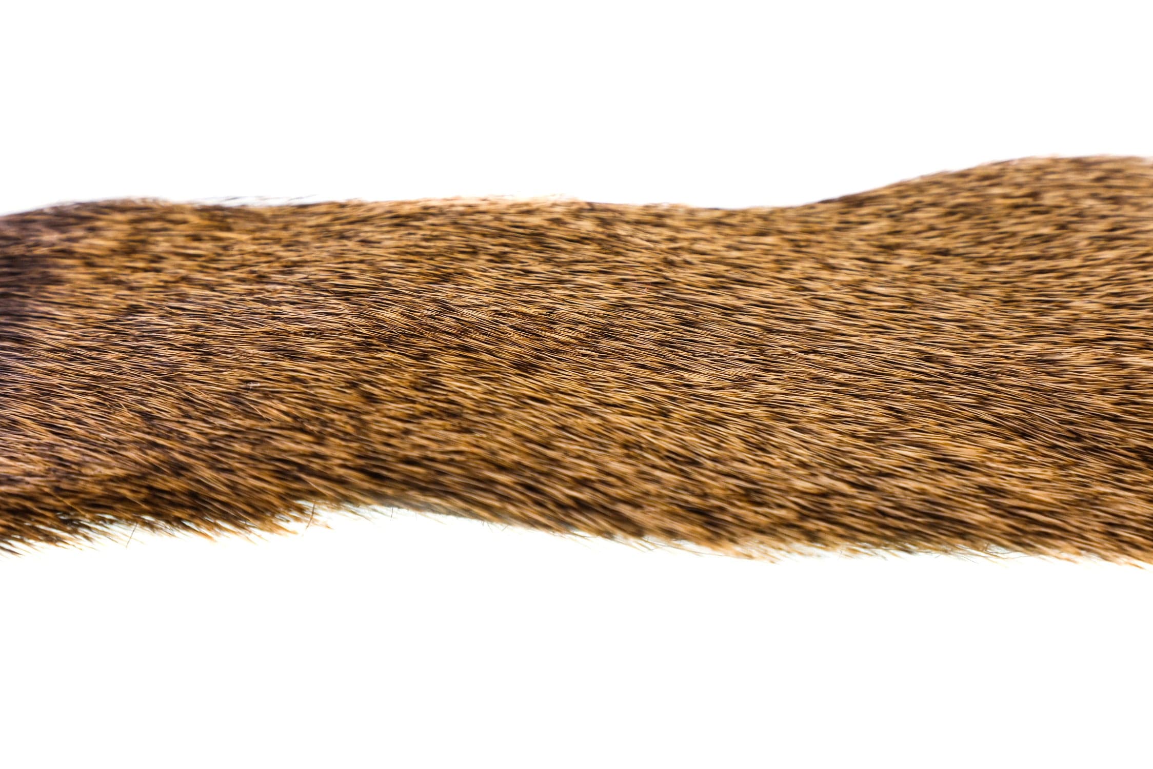 Wapsi Premo Elk Body Hair