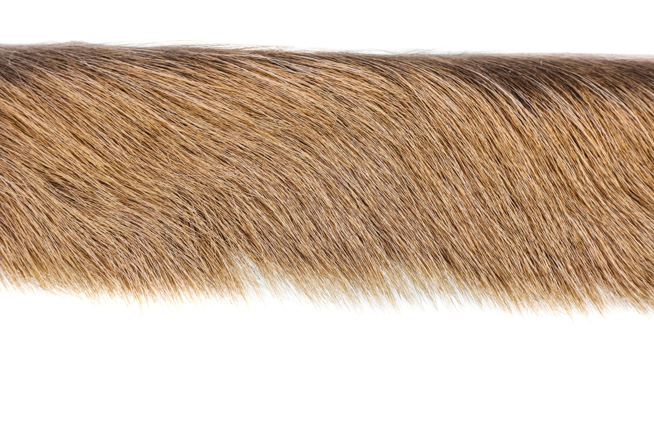 Wapsi Premo Elk Body Hair