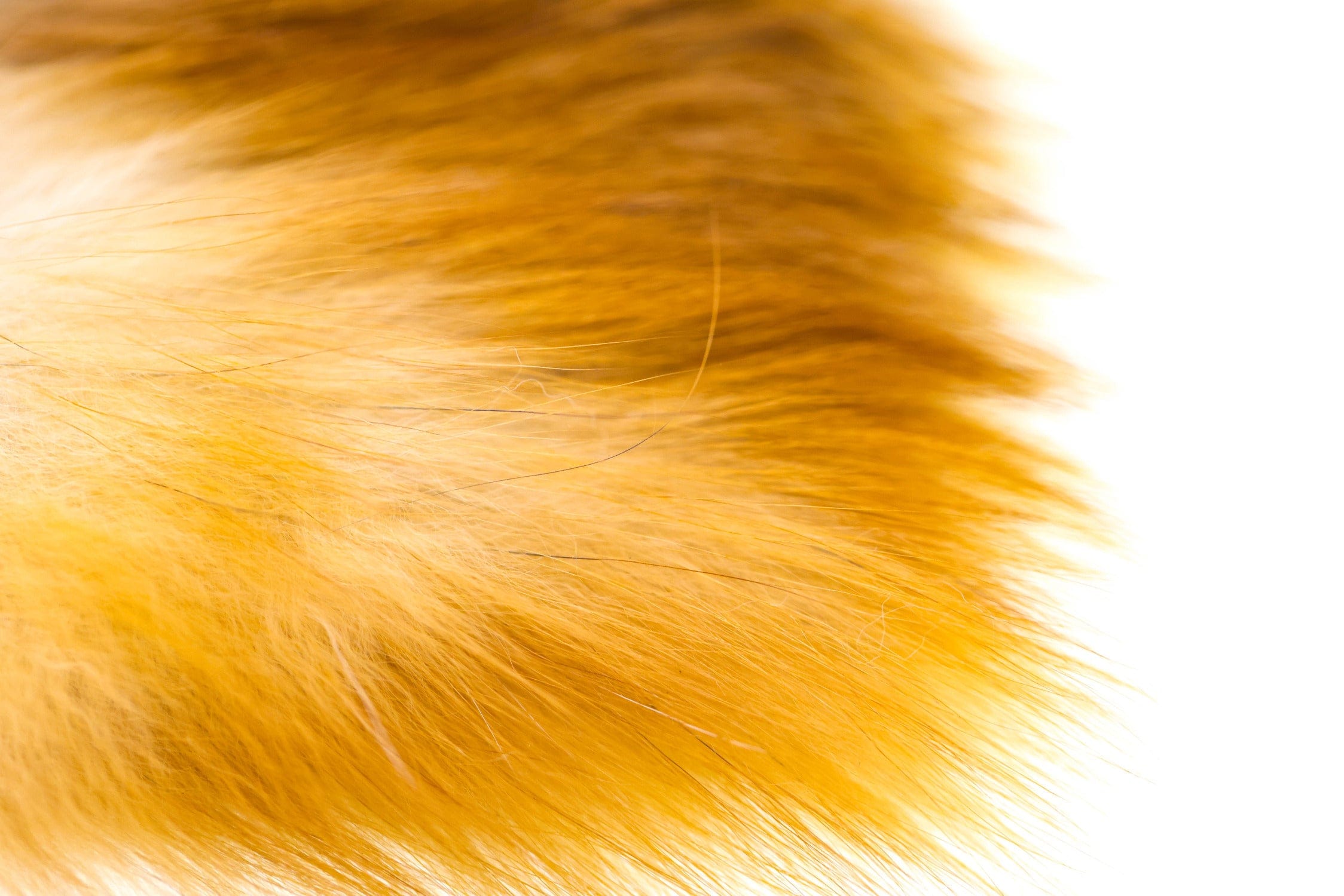 Wapsi Red Fox Hair