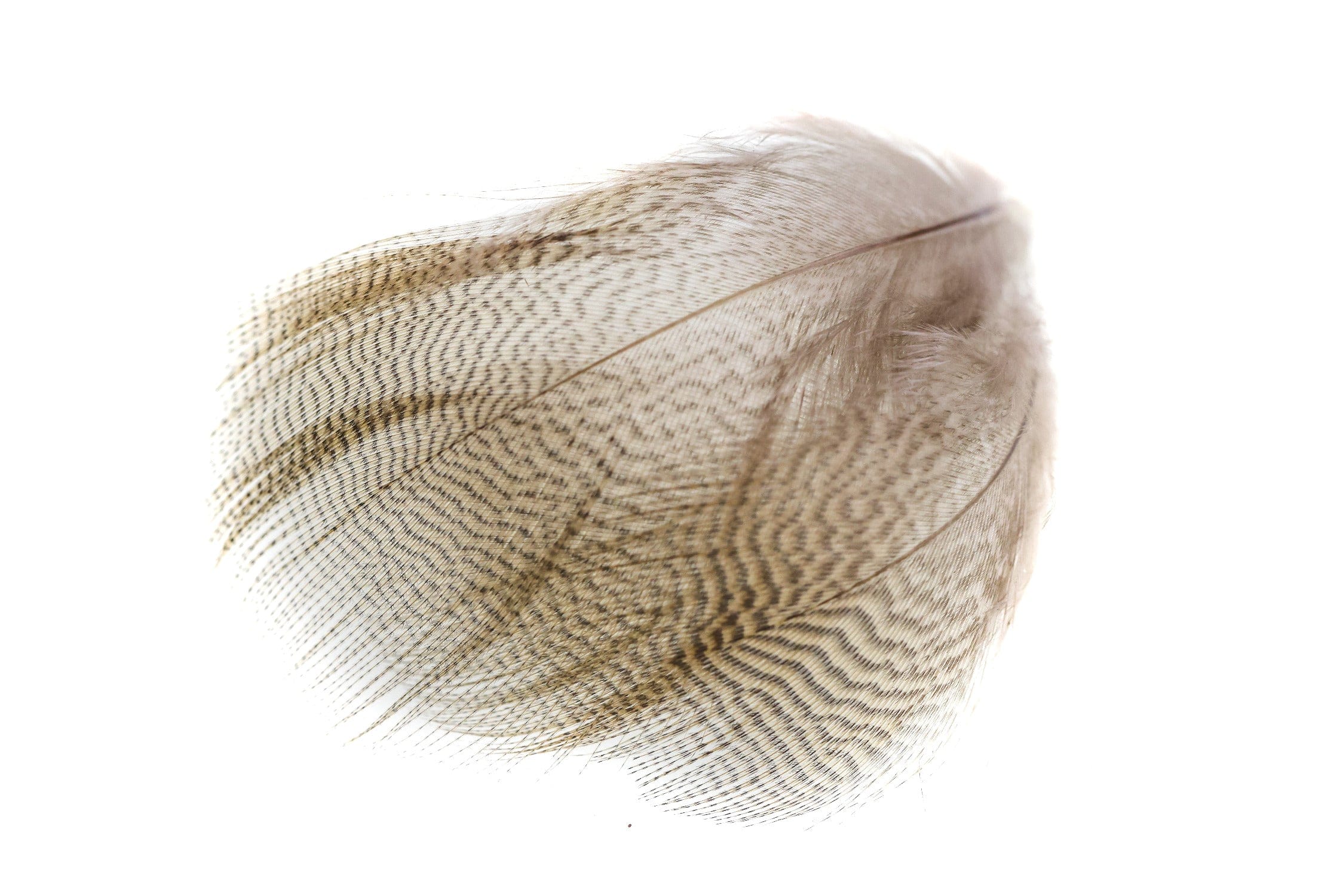 Wapsi Wood Duck Feathers