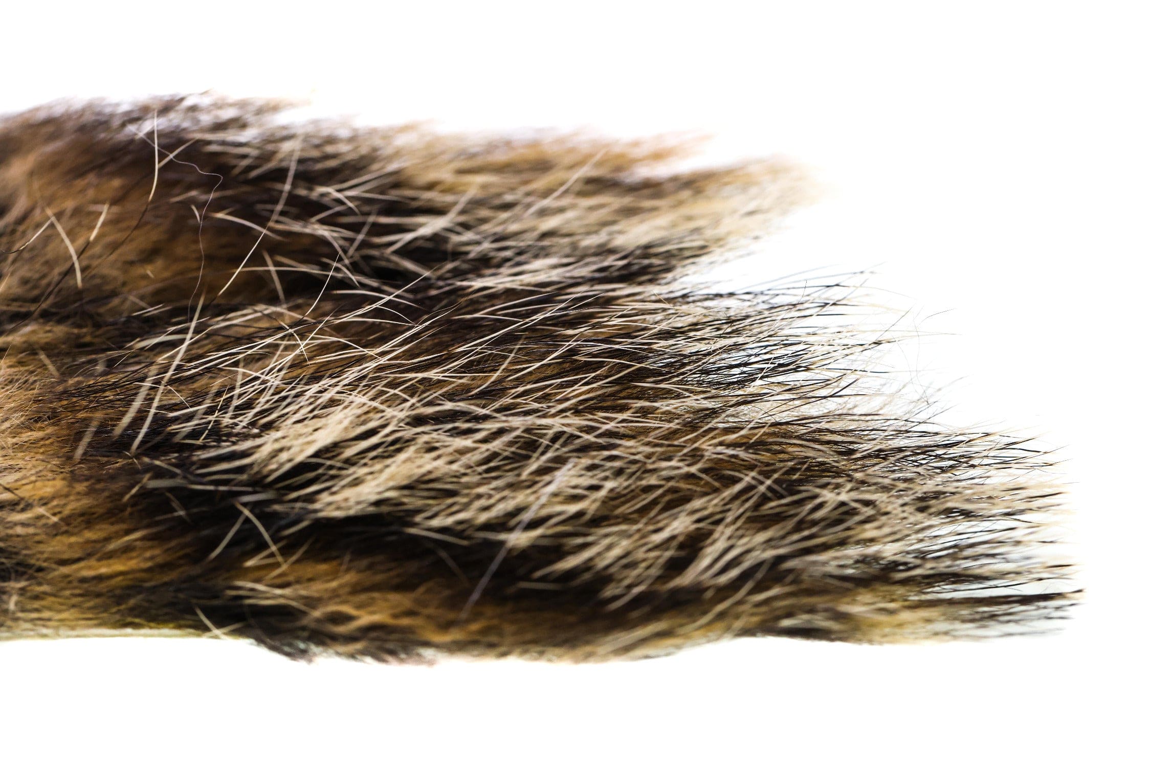 Wapsi Woodchuck Fur