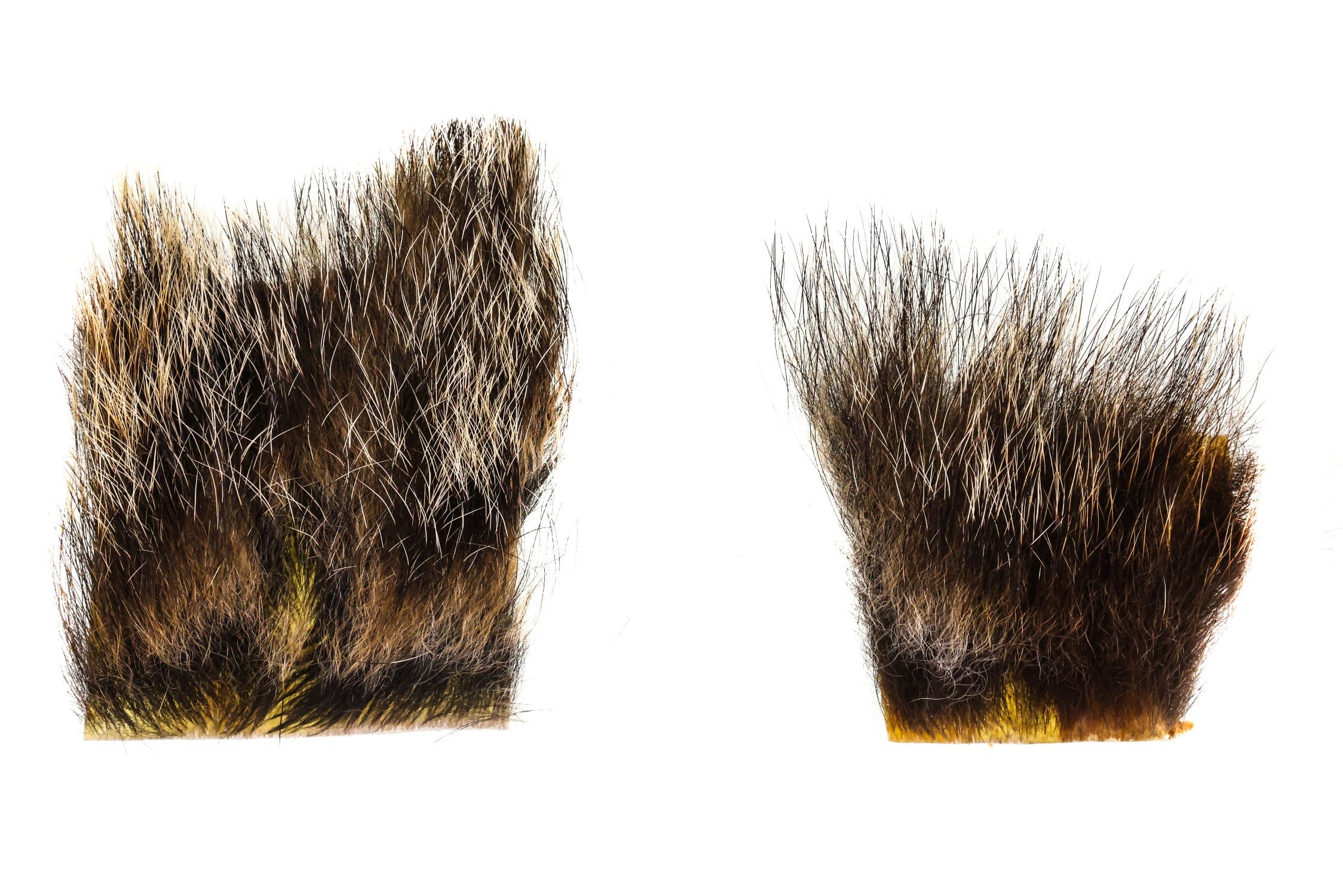 Wapsi Woodchuck Fur