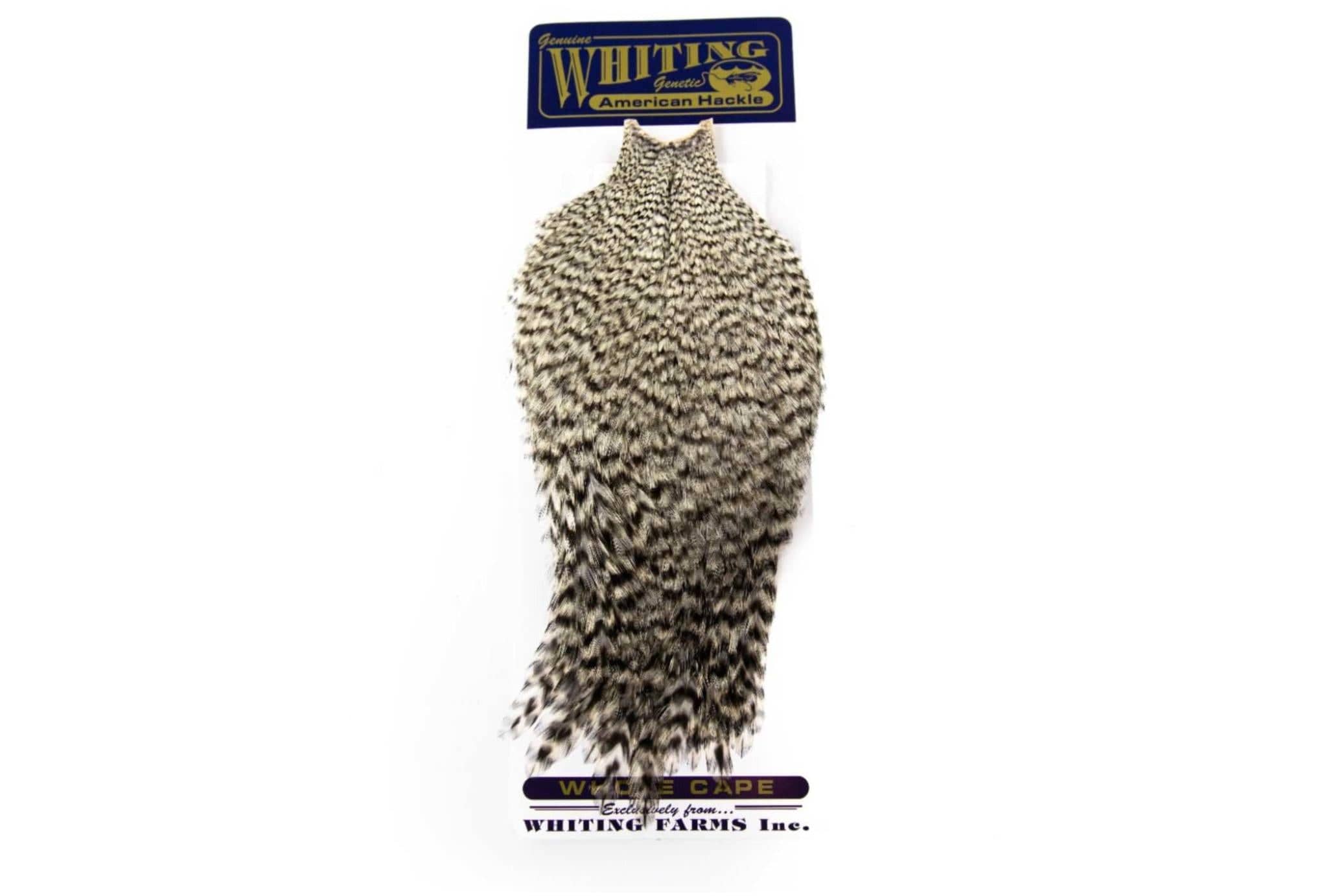 Whiting American Rooster Cape
