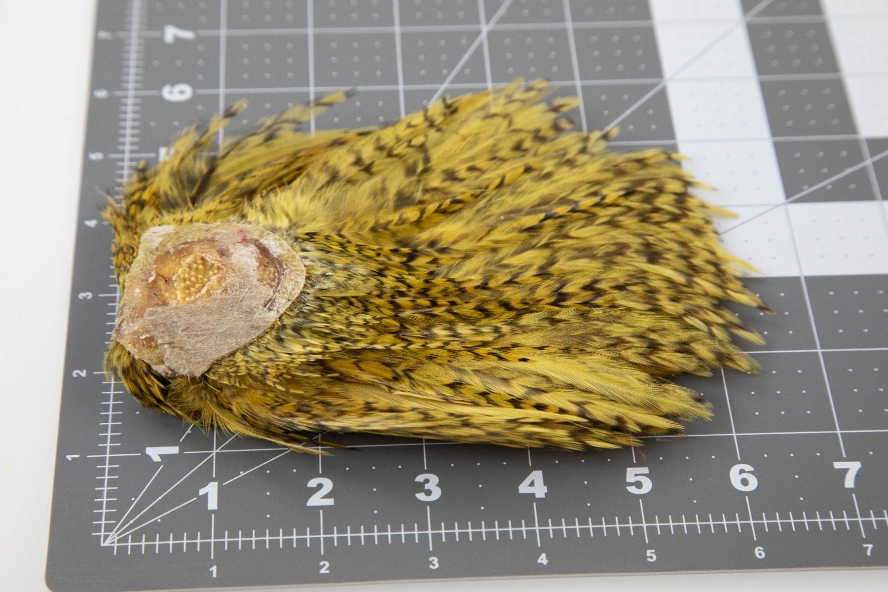 Whiting American Streamer Pack