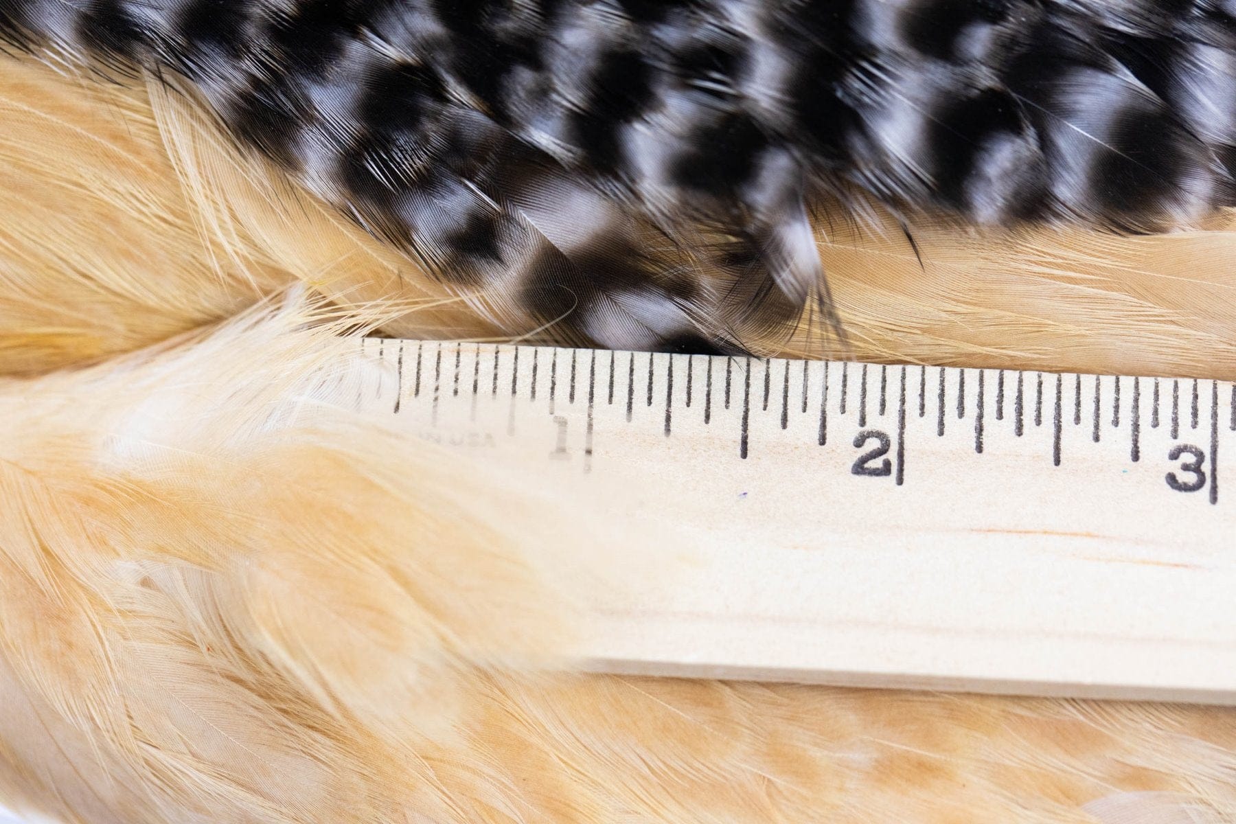 Whiting Combo Soft Hackle Pack