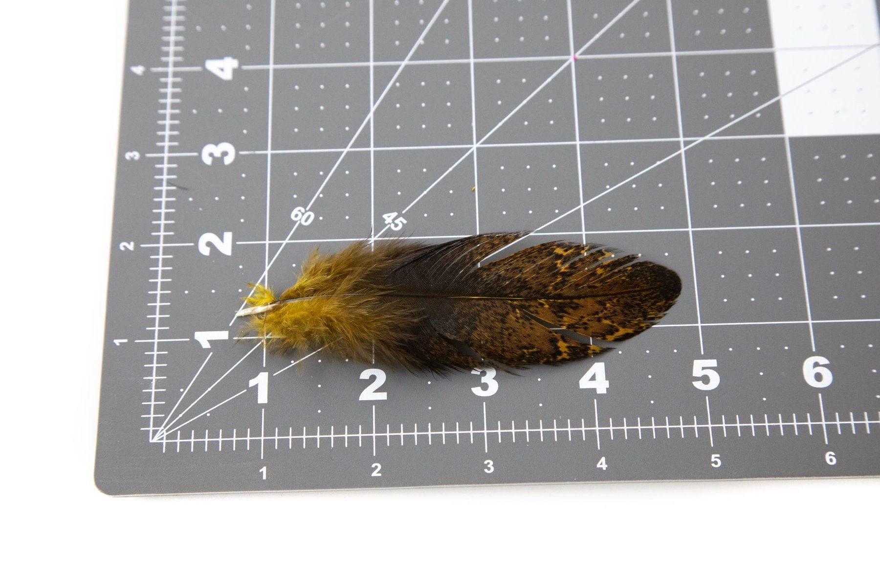 Whiting Coq De Leon Mayfly Tailing Pack