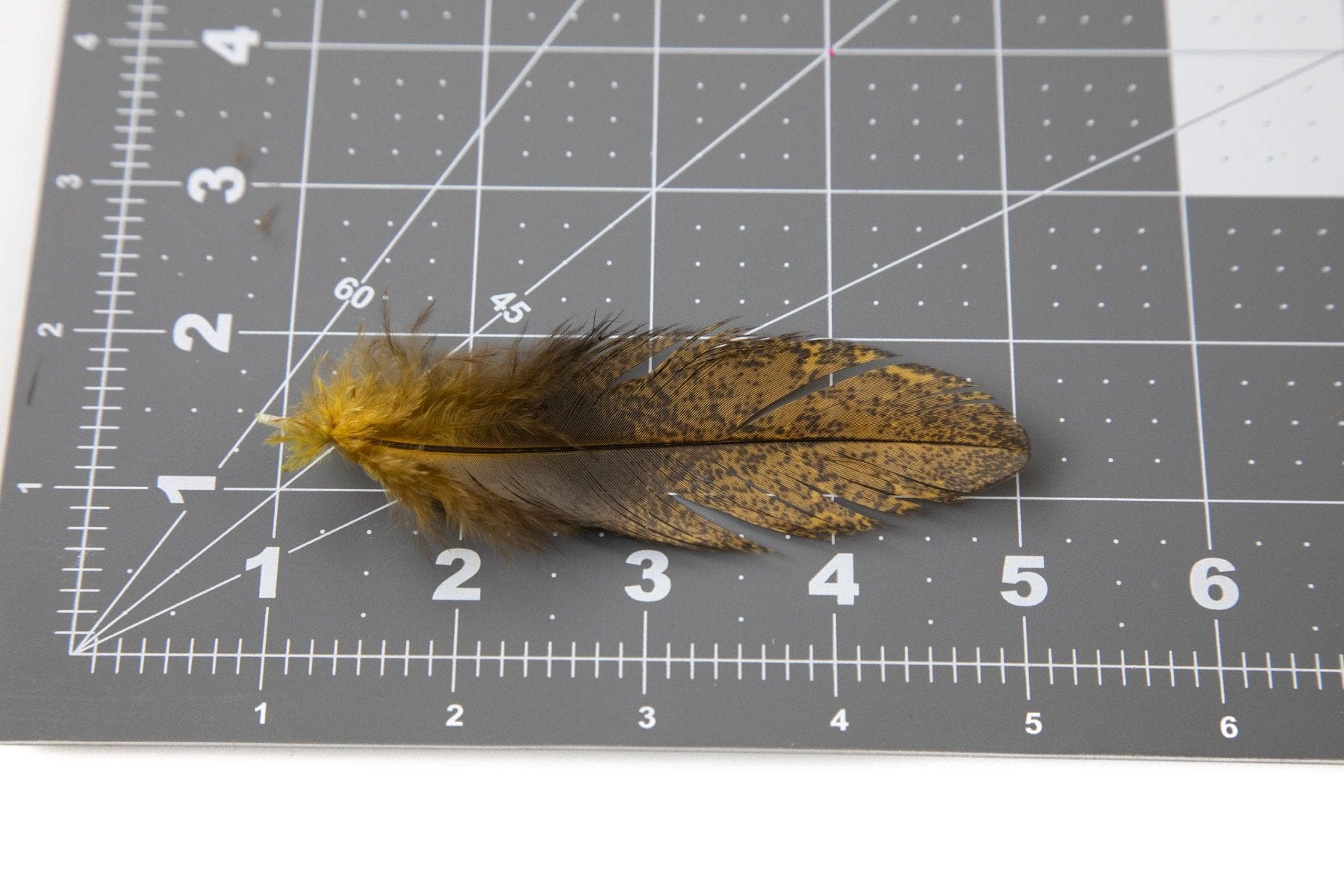 Whiting Coq De Leon Mayfly Tailing Pack