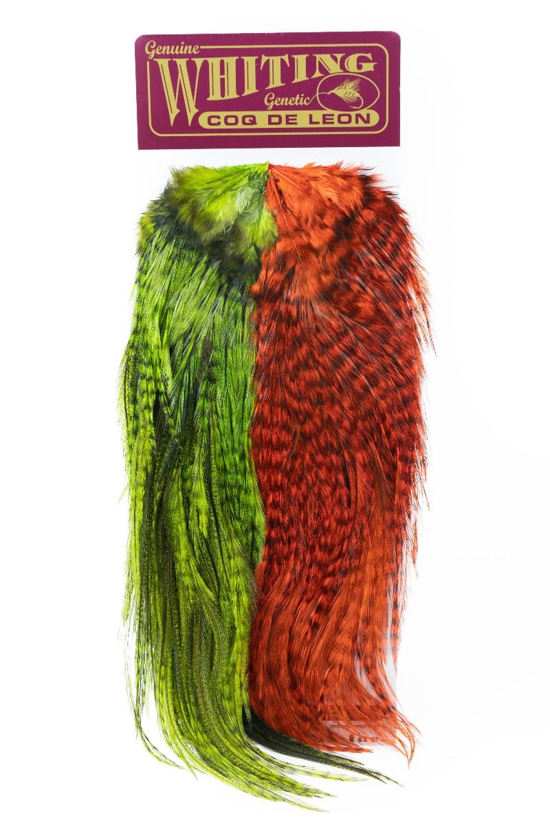 Whiting Coq De Leon Predator Pack