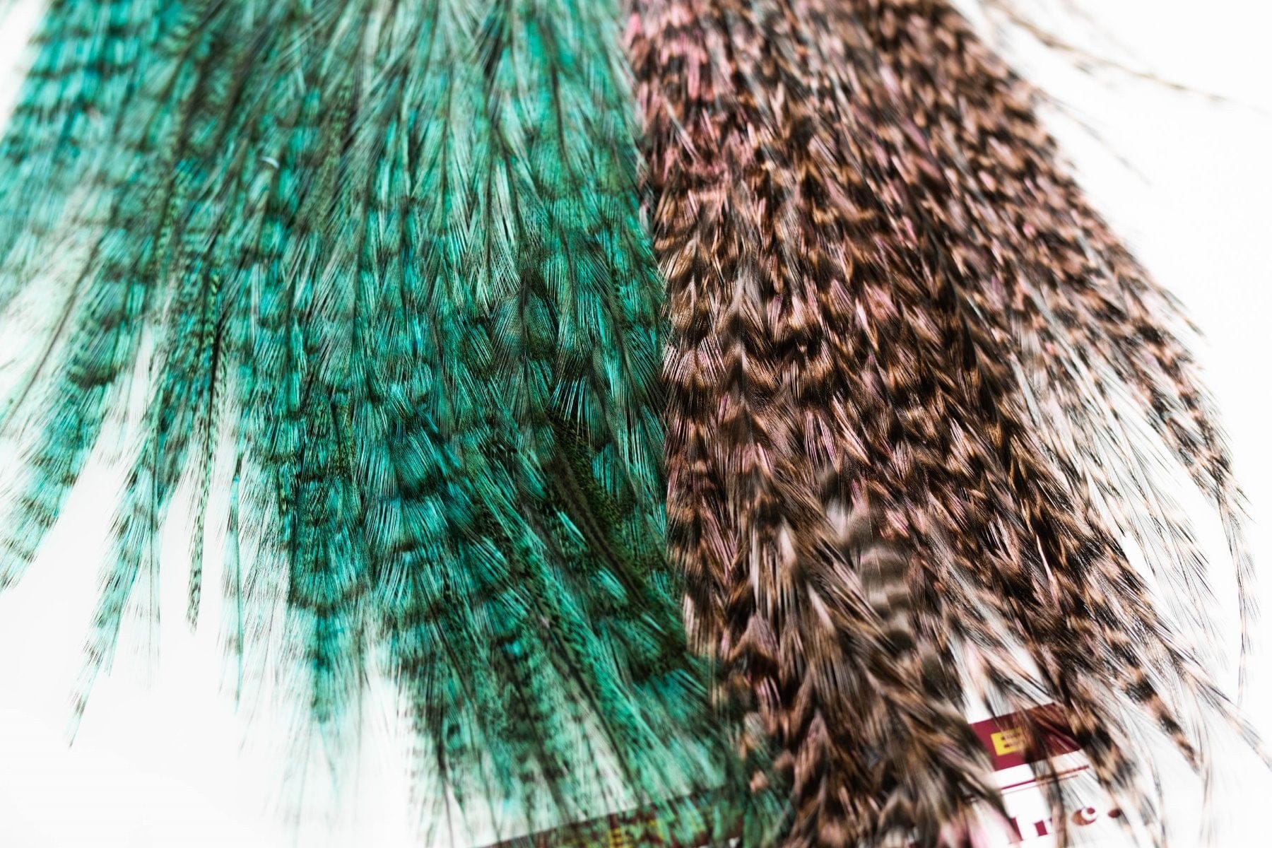 Whiting Coq De Leon Predator Pack