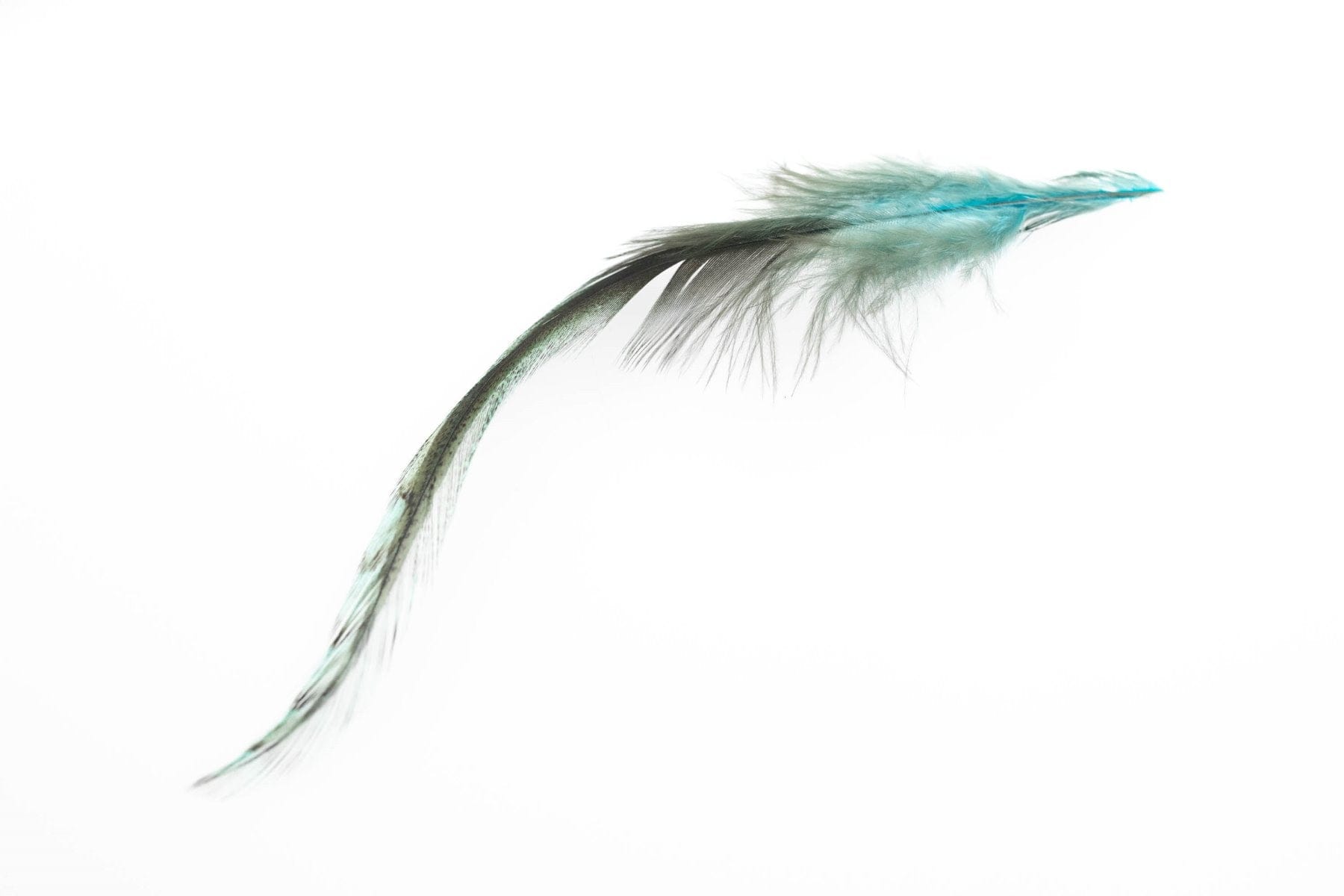 Whiting Coq De Leon Predator Pack