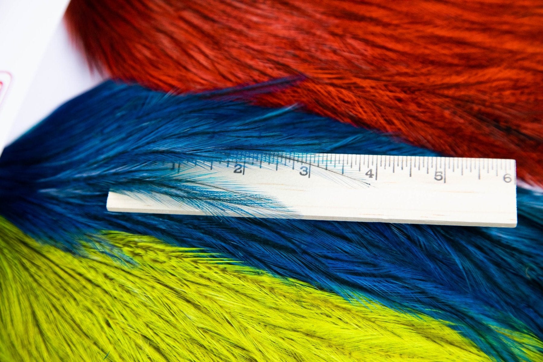 Whiting Coq De Leon Versa Pack - Assorted Colors