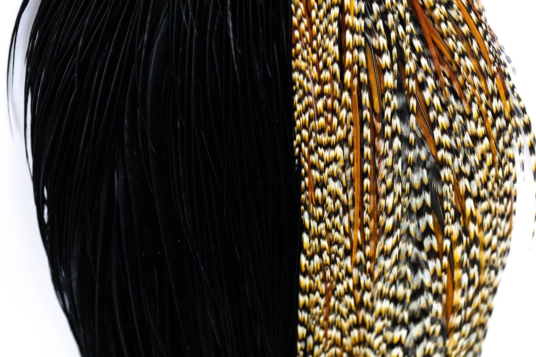 Whiting Intro Hackle Pack - Four 1/2 Cape - Assorted Colors