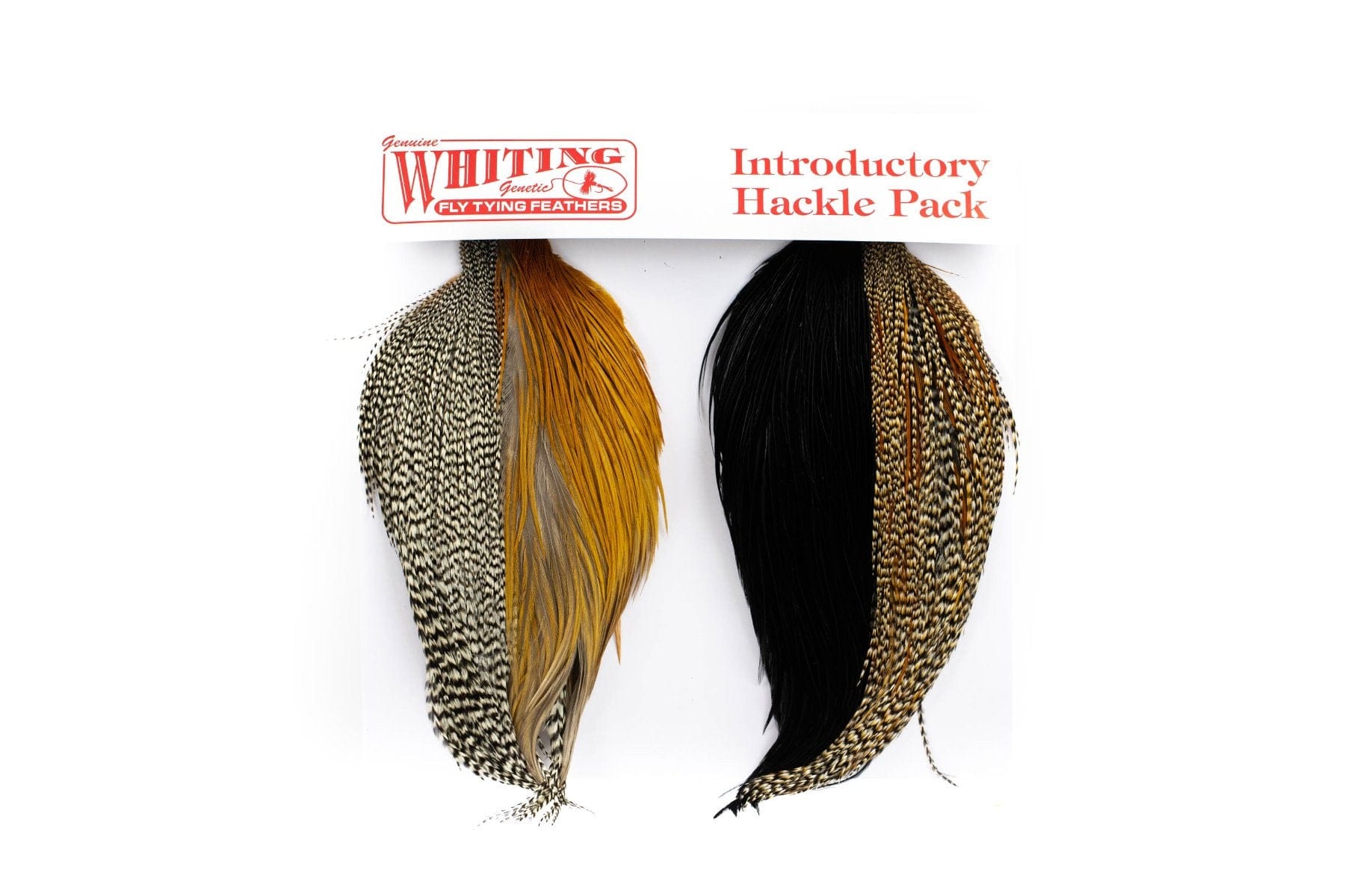 Whiting Intro Hackle Pack - Four 1/2 Cape - Assorted Colors