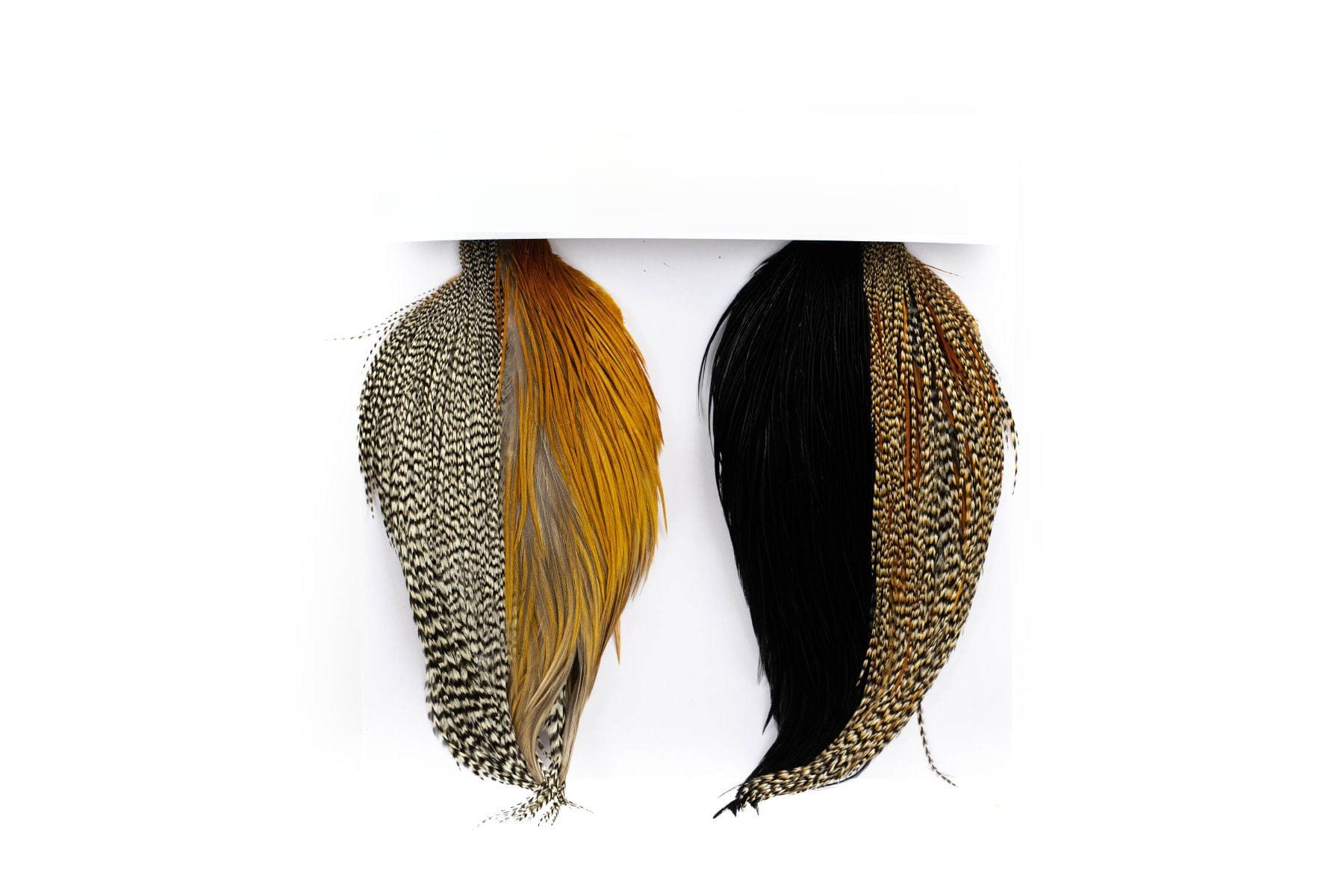 Whiting Intro Hackle Pack - Four 1/2 Cape - Assorted Colors