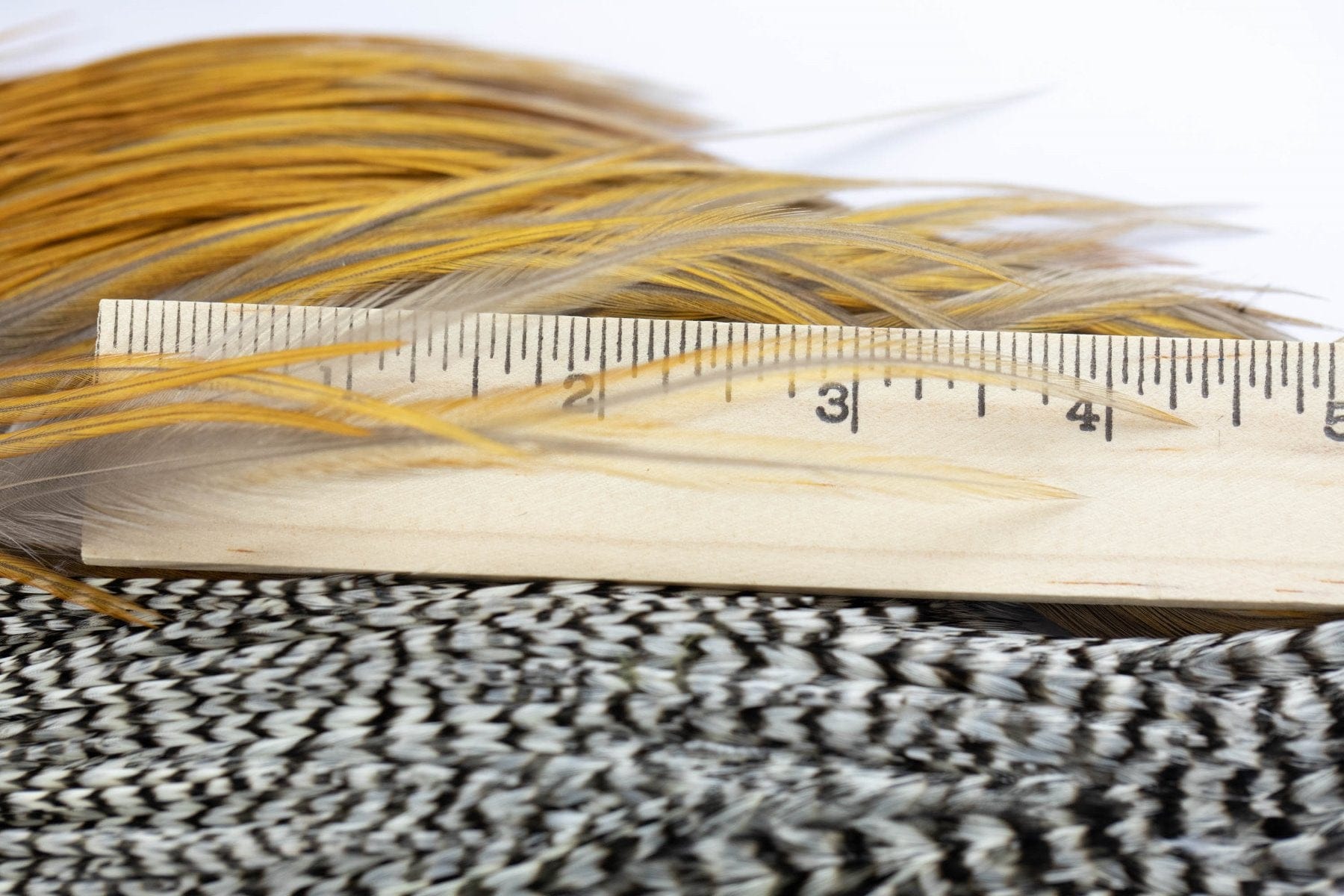 Whiting Intro Hackle Pack - Four 1/2 Cape - Assorted Colors