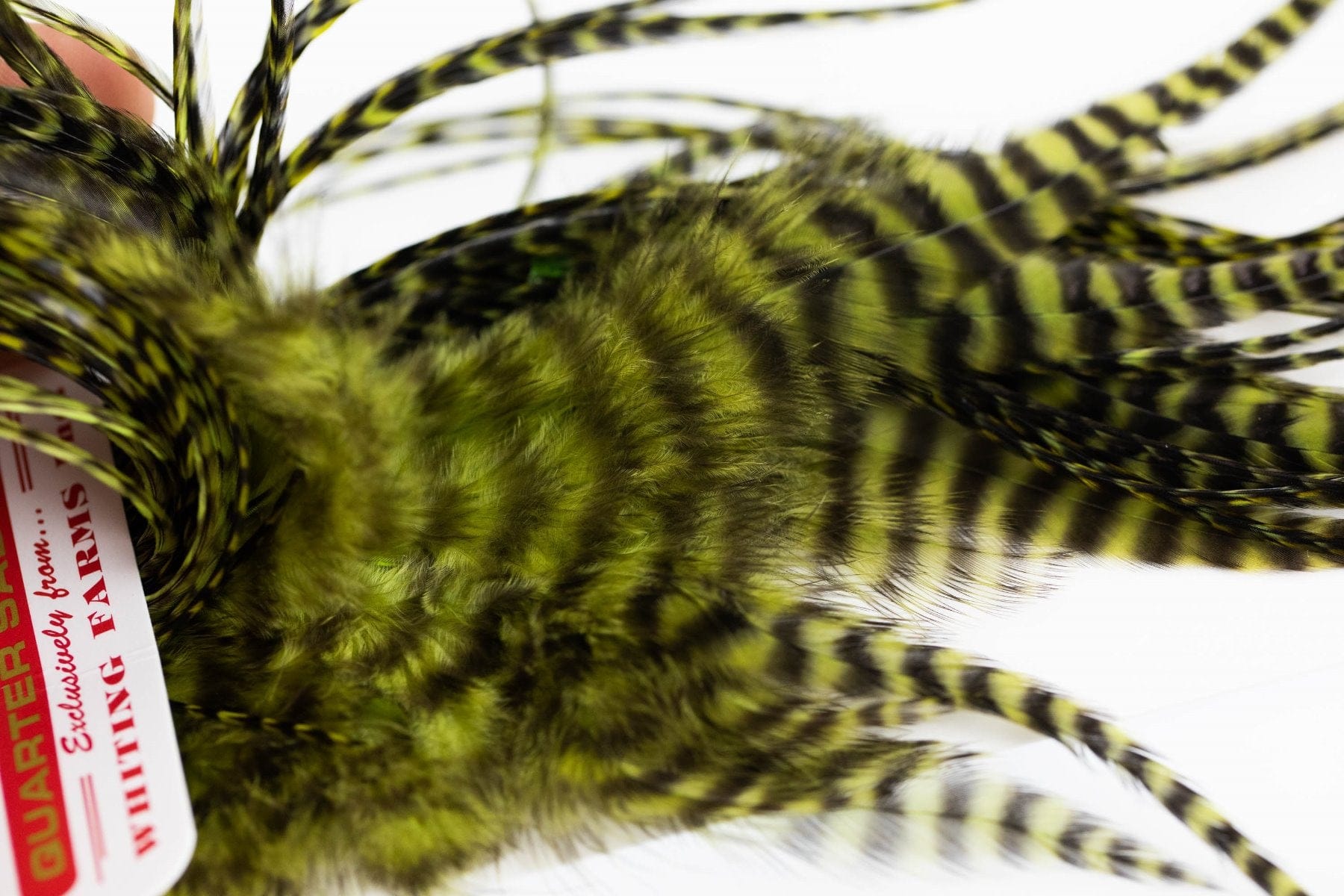 Whiting Midge Hackle 1/4 Saddle
