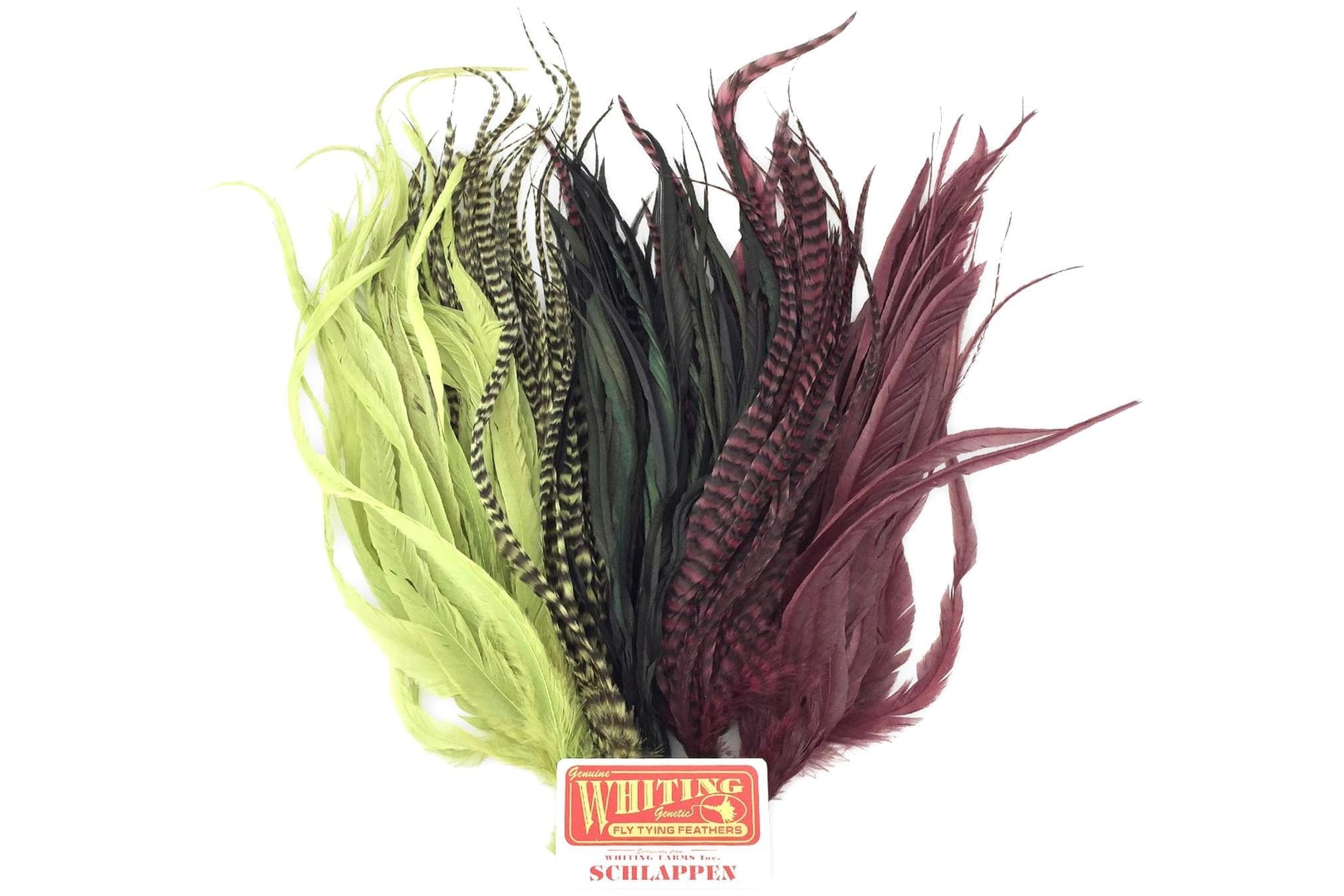 Whiting Rooster Schlappen Bundles