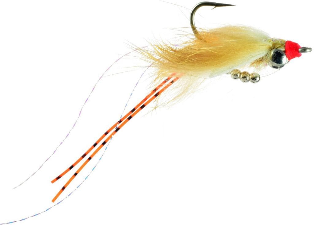 The Top 10 Best Permit Flies Trident Fly Fishing