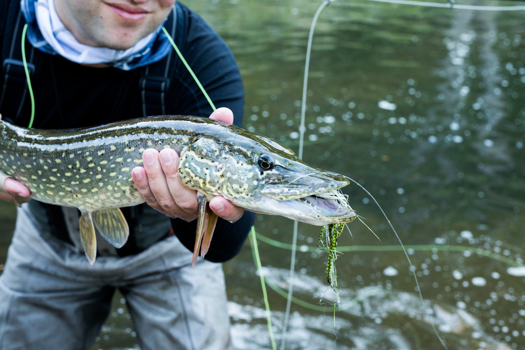 Top 8 Best Flies for Pike Trident Fly Fishing