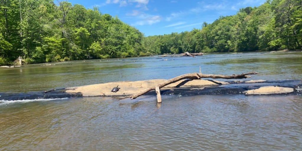 Fly Fishing Where to Fish in Trident Fly Fishing