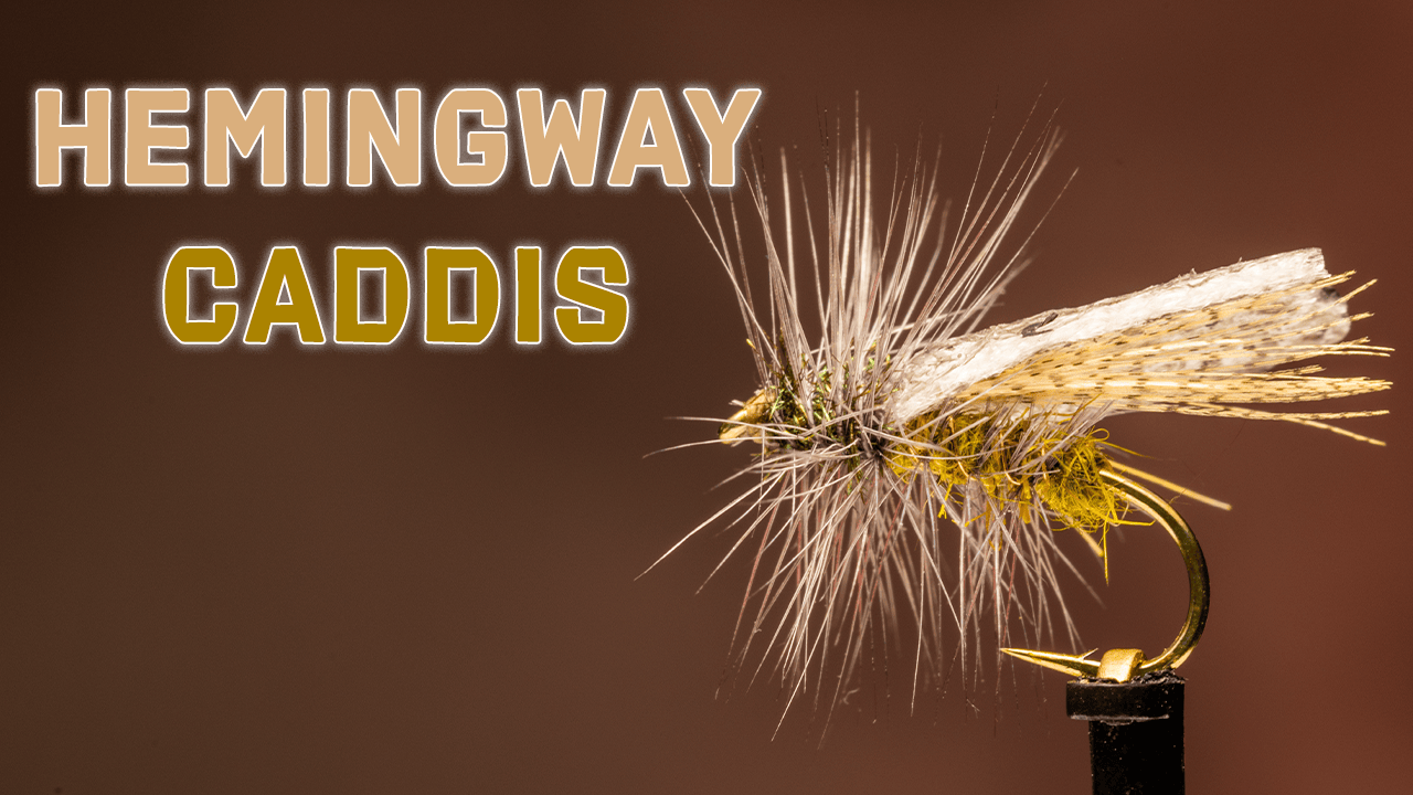 How to Tie the Hemingway Caddis Variant Fly Pattern Trident Fly Fishing