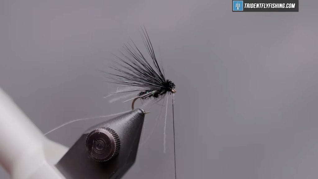 How to Tie the Black Caddis Dry Fly Pattern Trident Fly Fishing